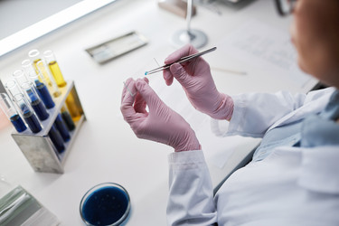 Similar image 21592620