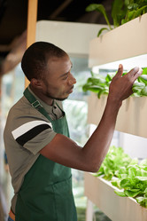 Similar image 21598491