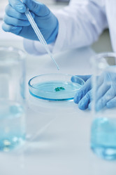 Similar image 21595038