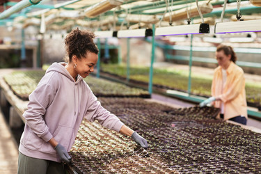 Similar image 21583267