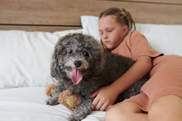 Similar image 21596619