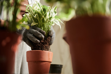 Similar image 21591732