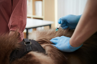 Similar image 21594895