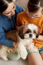 Similar image 21574119