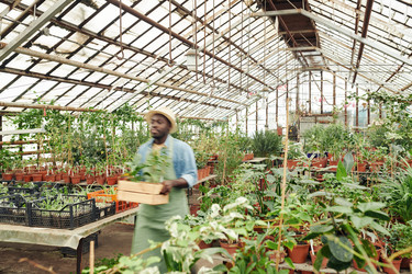 Similar image 21574108