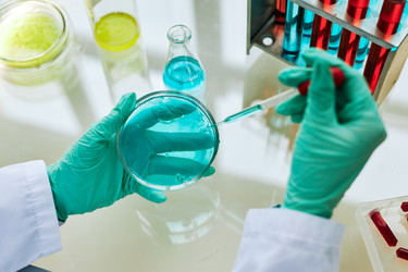 Similar image 21580691