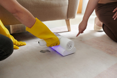 Similar image 21588537