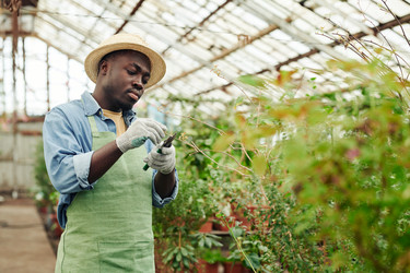 Similar image 21590001