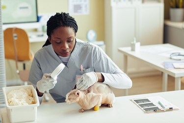 Similar image 21596684