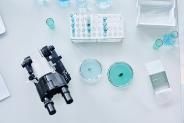 Similar image 21578804