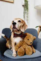 Similar image 21596406