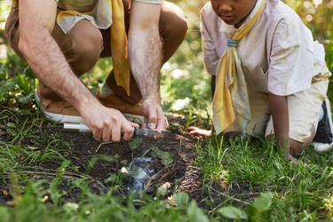 Similar image 21584561