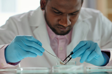 Similar image 21605947