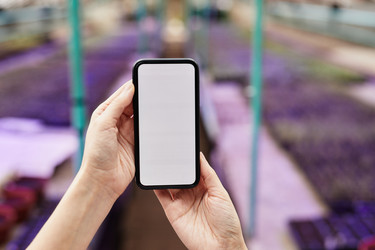 Similar image 21589482