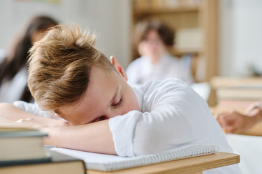 Similar image 21582553