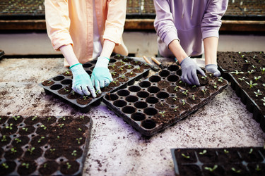 Similar image 21594382