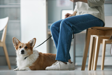 Similar image 21566091