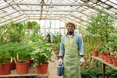 Similar image 21600025