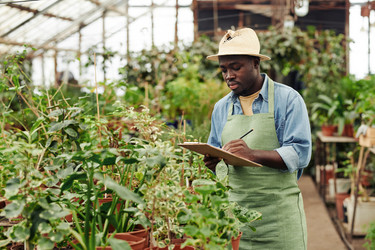 Similar image 21594274