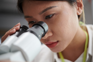 Similar image 21574736