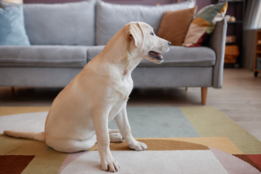 Similar image 21601494