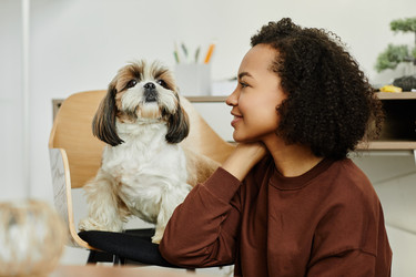 Similar image 21605347