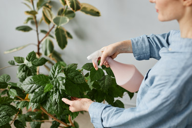 Similar image 21580970