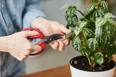 Similar image 21584393