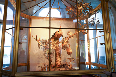 Similar image 21560771