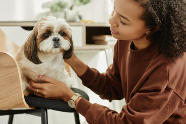 Similar image 21594228