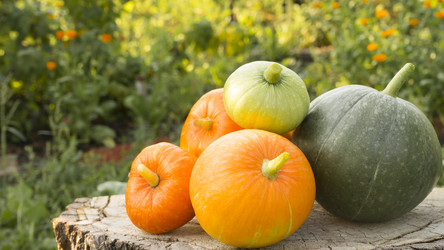 Similar image 21550194