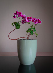 Similar image 21550195