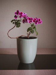 Similar image 21550196