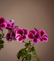 Similar image 21550197