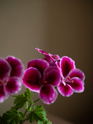 Similar image 21550198