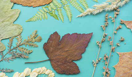 Similar image 21550202