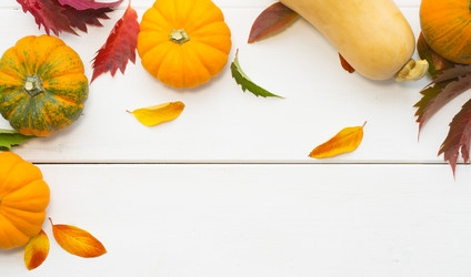 Similar image 21550204