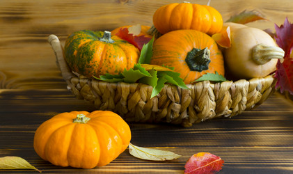 Similar image 21550205