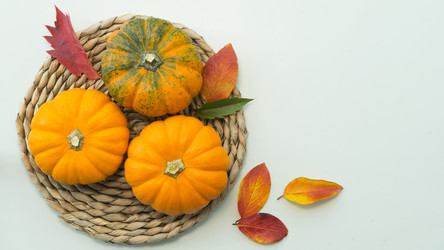 Similar image 21550207