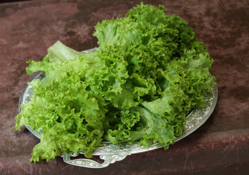 Similar image 21554909