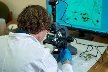 Similar image 21554912