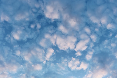 Similar image 21560434