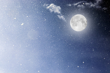 Similar image 21560480