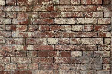 Similar image 21560495