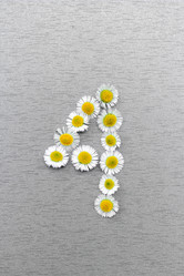 Similar image 21560514