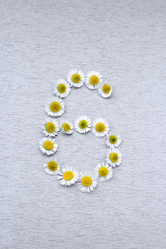 Similar image 21560515