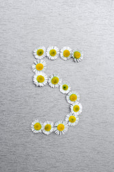 Similar image 21560516