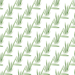 Similar image 21562326