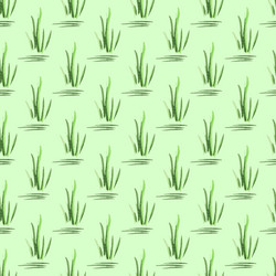 Similar image 21562329