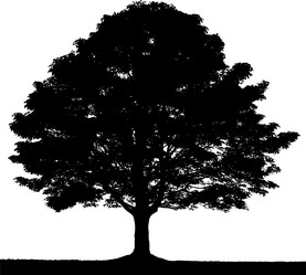 Similar image 21629670